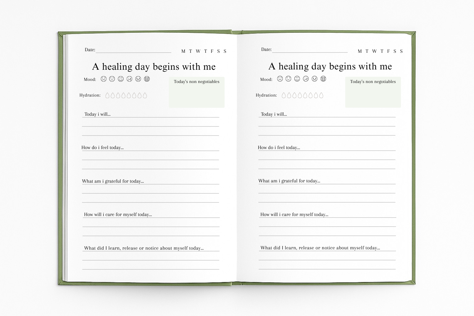 The Healing Journal