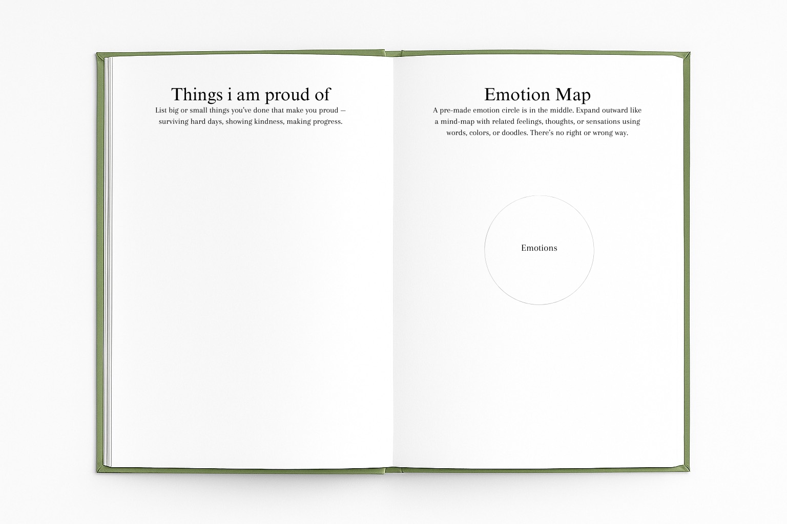 The Healing Journal
